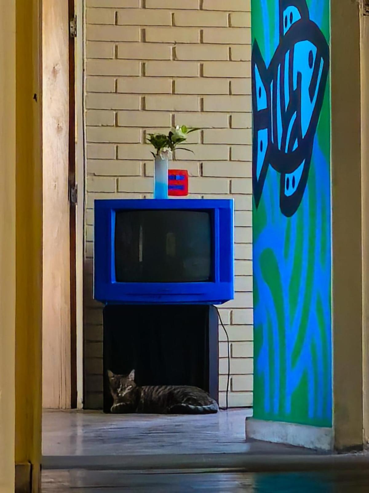 Casa de hóspedes Aruanda *
